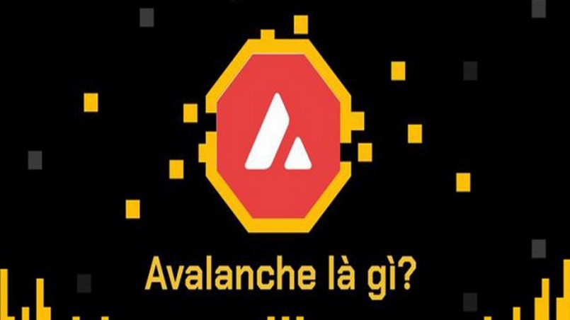 Avalanche là gì?