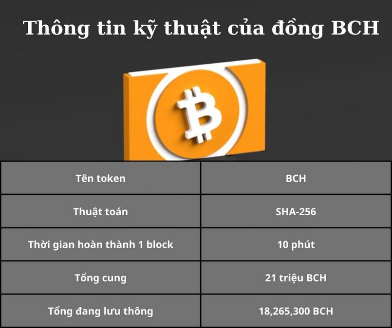 Tổng quan về Bitcoin Cash