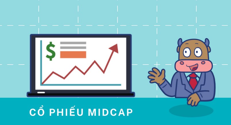 Khái niệm về cổ phiếu Midcap