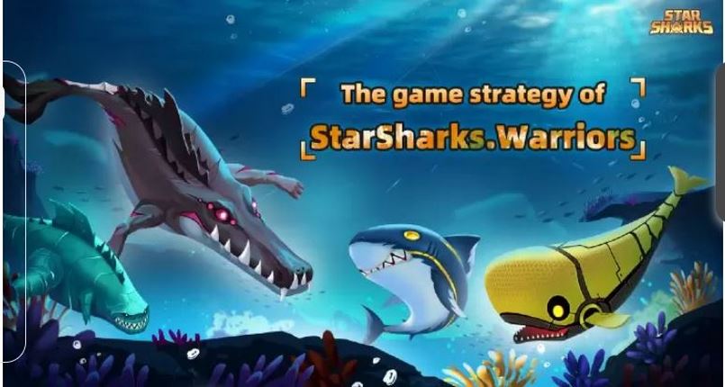Tìm hiểu về StarSharks Warriors