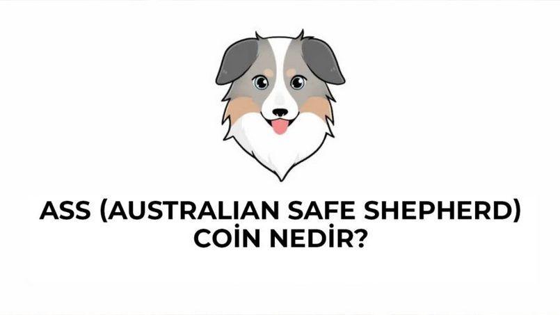 ASS coin (coin ASS) là gì? Dự án Australian Safe Shepherd